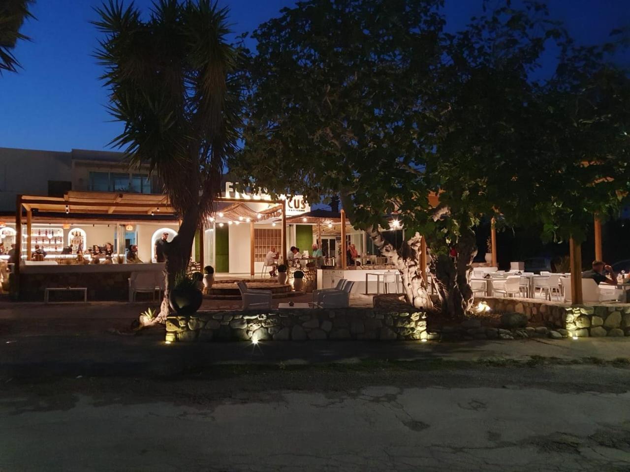 Ficus Traditional Apartments Kefalos  Exterior photo