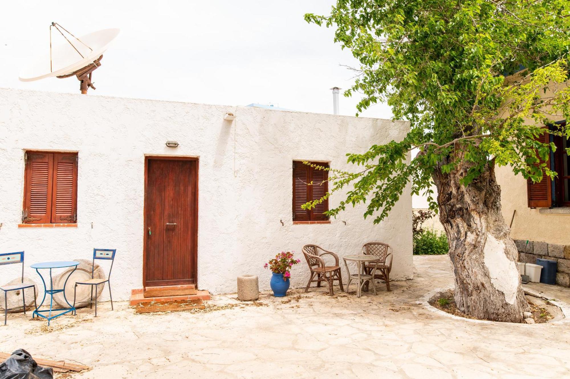 Ficus Traditional Apartments Kefalos  Exterior photo